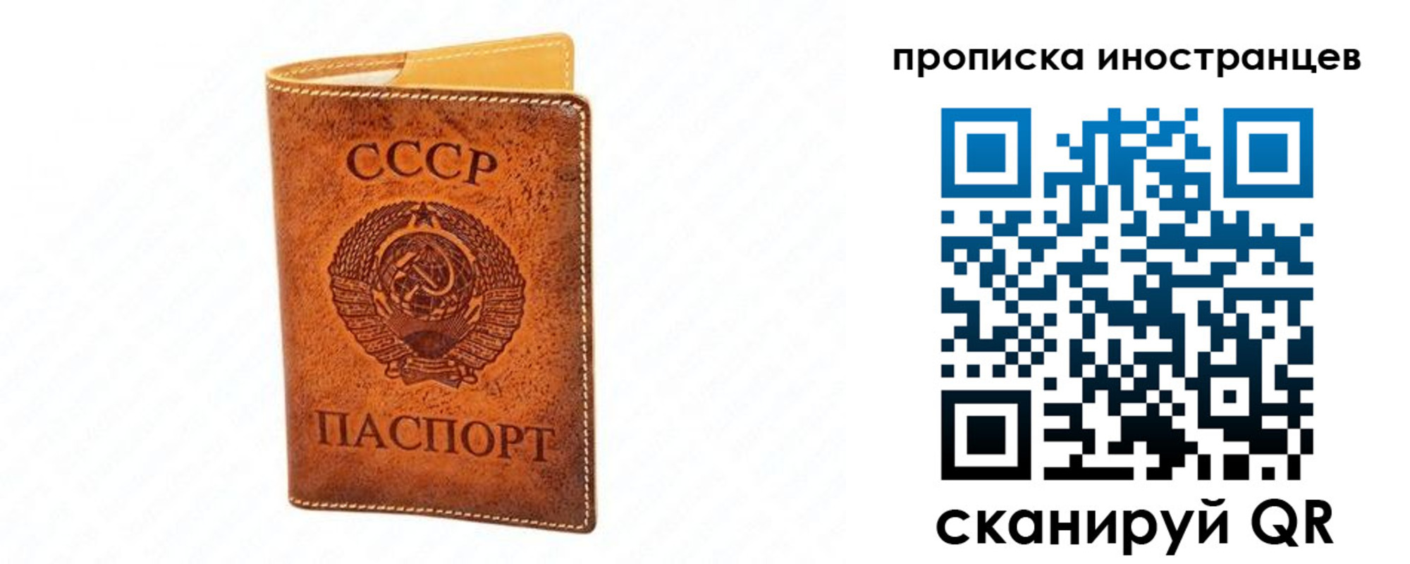 прописка для школы в Ульяновске